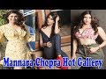 Mannara Chopra Mannara Chopra Hot Gallery Mannara Chopra Hot Photo Shoot Hot Pics Mee Tv