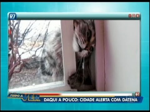 Tudo a Ver 18/07/2011: Gato tenta invadir casa nos vídeos mais esquisitos da internet