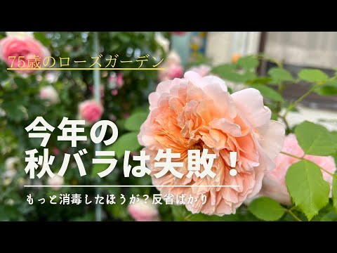 idée-amenager-son-balcon-terrasse-été-chaises-dépareillées-store-banne