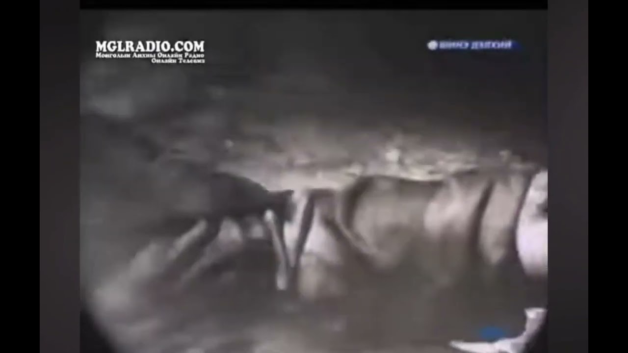 Ард Аюуш МУСК ( Монгол киноны сэтгэлд хоногшсон хэсгүүдээс)