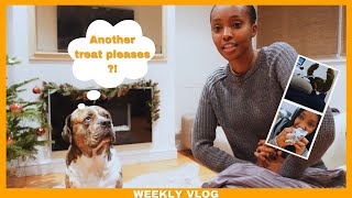 Weekly Vlog || Fred's Been A Bad Boy!! || See What I Bought!!||
