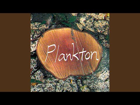 Plankton