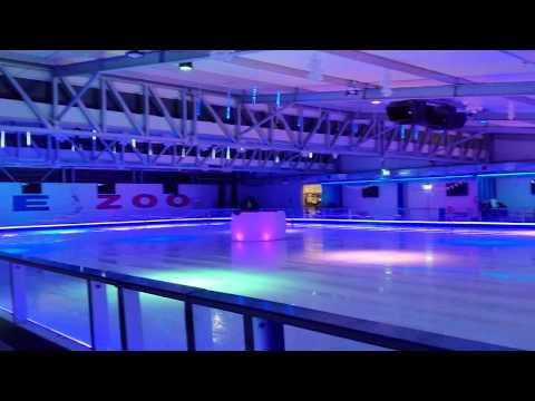 Ice Zoo