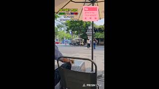 호치민 조실장 4월11일 벤탄아니에요  라이브 방송