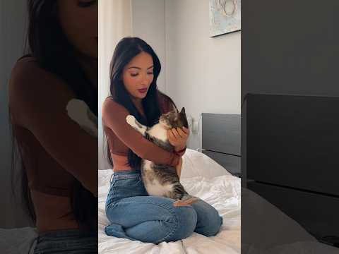 Les animaux savent parler