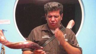 DR. RICK KURNOW'S   Shofar beautifully polished by Pastor Valentino Marquez