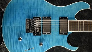 Video thumbnail for PRS SE Torero *Review*(My Favorite Floyd Rose Guitar) by Eric Shreds