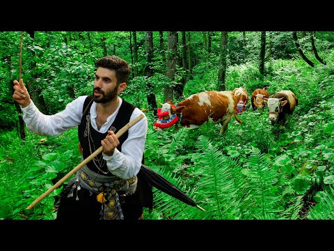 Migration of the Laz - Tradition of Centuries | Documentary movie