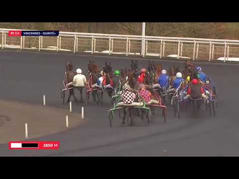 Bel Avis PRIX DE BREST Equidia