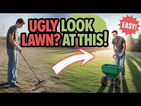 How to FIX an UGLY Lawn with RESULTS - Step by Step for Beginners EASY