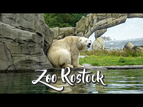 Zoo Rostock