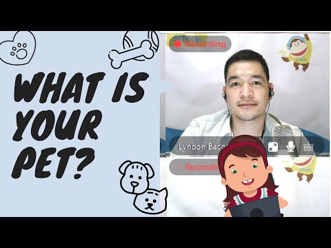 Let's Talk About Pets