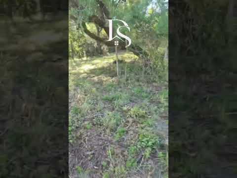 VENDO TERRENO EN ESTANCIA VIEJA