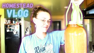 Purging the Freezer | Ground Pork & Canning Broth | Hamakua Homestead Vlog