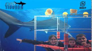 DIA 2 Expo Tiburon257