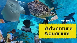 Adventure Aquarium VIP Visit | Family Road Trip | BTS Photoshoot | TSE VLOG | Through Shauna’s Eyes