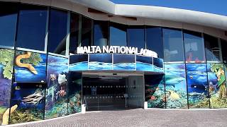 Malta Scuba Diving Vlog Day #13