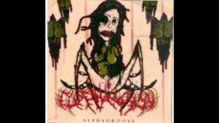 ElephantMan - In Your Fucking Face (HD)