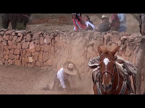 57 - The Best of the Coleaderos - Jomulquillo Jerez Zacatecas