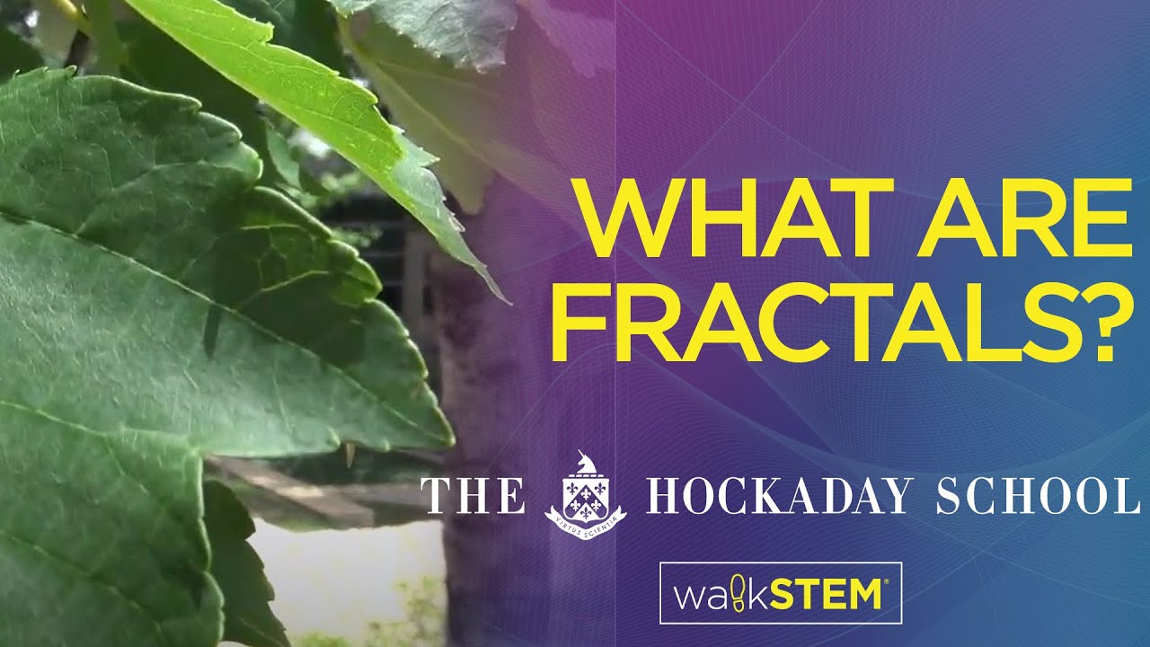 What are fractals?