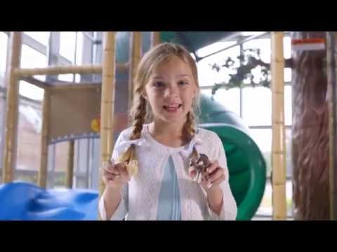 Schleich figūrėlė Majungazauras video