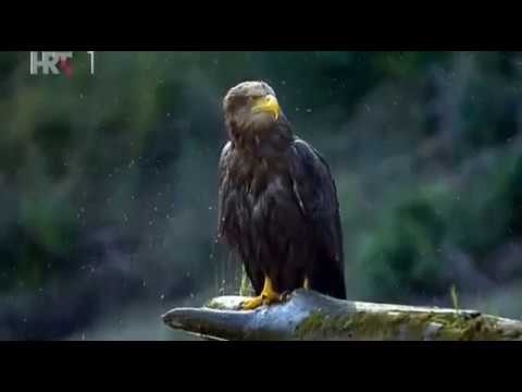 Dunav Europska Amazona ep 1