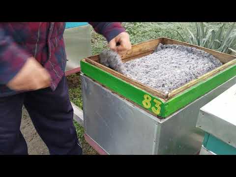 255.Atenție la poziționarea ghemului!