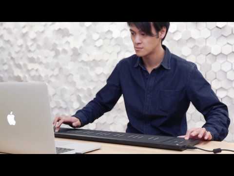 Strange Things: The Seaboard RISE with Cantor Digitalis