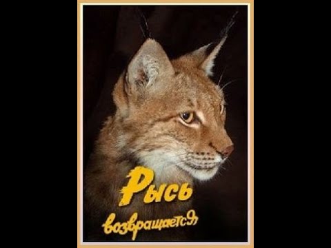 Рысь возвращается (1986)