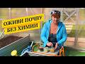 Как я оздоравливаю почву.