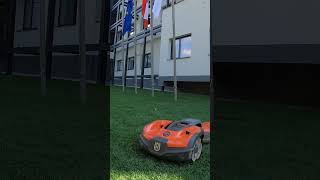 Your Lawn Needs One of These!