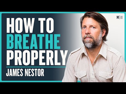 Change Your Breath, Change Your Life - James Nestor | Modern Wisdom Podcast 350