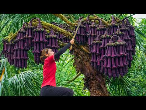 Harvests Strange Eggplant Clusters & Selling at the Village Market | Authentic Asian Cooking Secrets