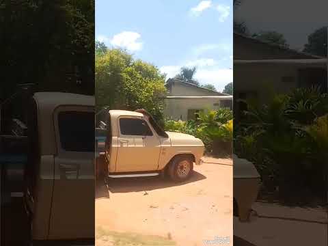 Caminhando e Recordando em palestina de Goiás  2026.....02