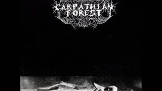 Carpathian Forest   Black Shining Leather