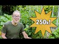Growing Together One Garden At A Time