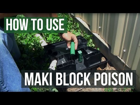 download lagu mp3 mp4 Maki Block, download lagu Maki Block gratis, unduh video klip Maki Block
