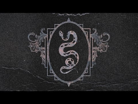 Tiigers - Octopus