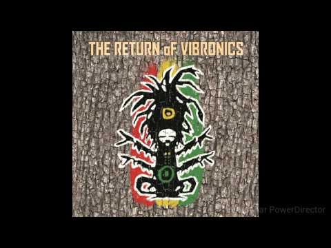 Vibronics ft. Danman - Tribulation Dub