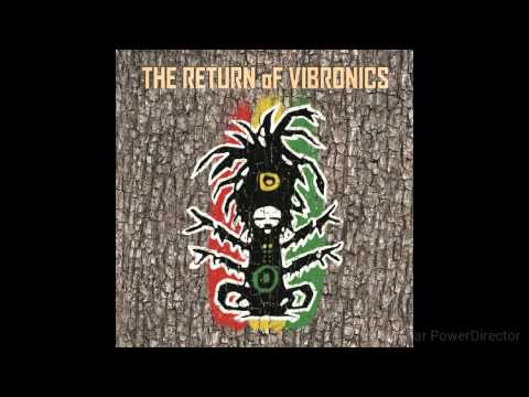 Vibronics ft. Danman - Tribulation Dub