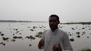 preview picture of video 'Head Balloki Kasur Pakistan | River Ravi | Muhammad Shakeel'