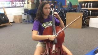 Skaters Waltz Cello Track