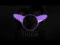 Saiyaara Moombahtone Vs Tarraxo Dj Akshay Production Remix 2k22