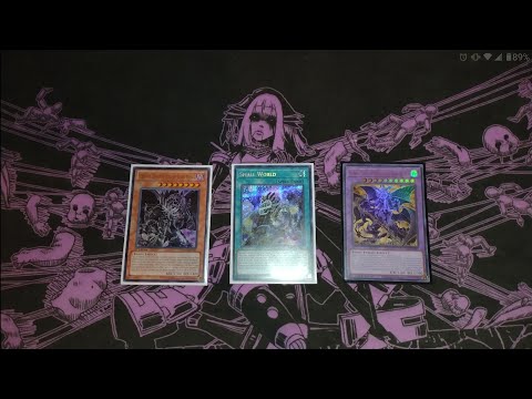 Dark World Is A Small World 2nd Place Locals Deck Profile!