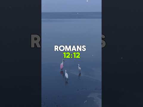 Rejoicing in hope! #hope #faith #peace #Perseverance #god1st #jesus #love #joy #god #prayer #pray