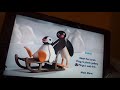 Pingu Bouncy Fun Dvd Reviews