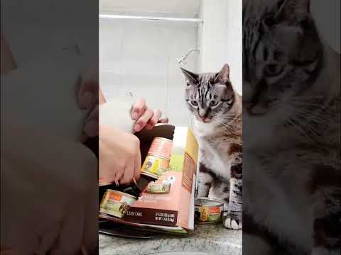go green ♻️ recycling cat food cans & cases