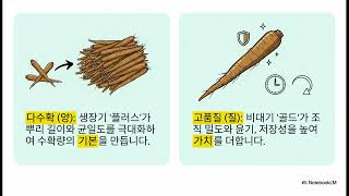 우엉 수확량 극대화  다조아 솔루션. 다조아 제품 구입 및 상담 자연과콩 고객센터 010-6570-2044.…
