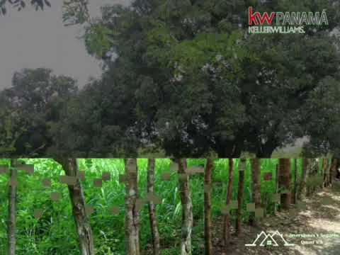 ALANJE CHIRIQUÍ 2 HECTÁREAS TERREN0