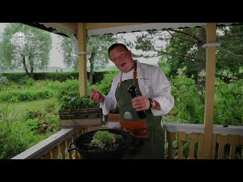 Michael Björklund grillar champinjoner